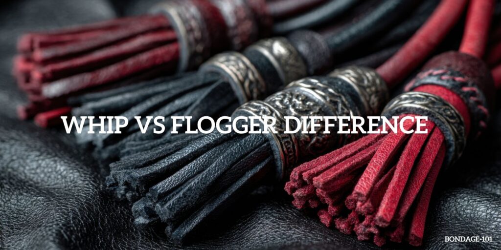 Whip Vs Flogger Difference: A Complete Guide To Both Tools